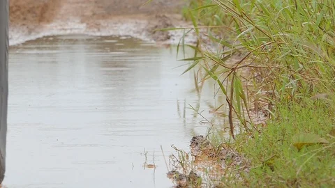 Wheel of 4x4 car pass mud and water. Stock Footage 94685802
