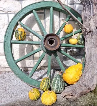 Wheel and pumpkins 스톡 사진