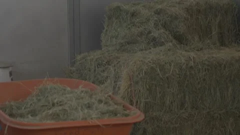Wheel barrow with hay Stock Footage 268718060