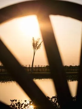 A wheel casts a shadow on the water, with a tree in the foreground Stock Photos