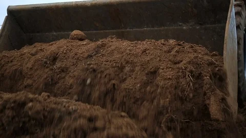 Wheel loader Excavator unloading sand with water during earth moving works at Stock Footage 69863665