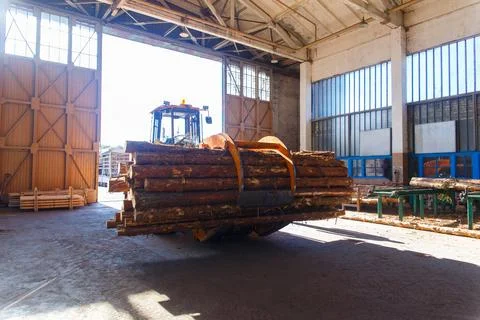 Wheel loader with grapple carrying a bundle of timber logs Stock Photos