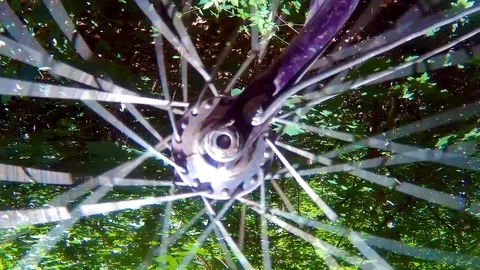 Wheel of an old bicycle in motion Stock Footage 90903861