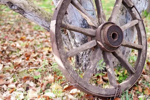 A wheel from an old cart Stock Photos