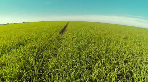 Wheel Path Through Field Stock Footage 32479386