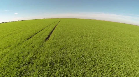 Wheel Path Through Field Stock Footage 32481277