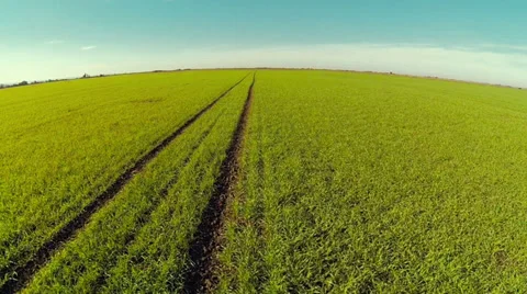 Wheel Path Through Field Stock Footage 32481574