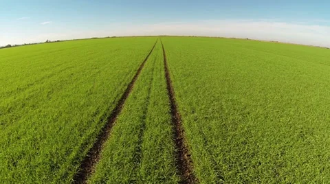 Wheel Path Through Field Stock Footage 32481788