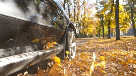 Wheel of powerful car driving on park road over yellow autumnal leaves Видео 326439450