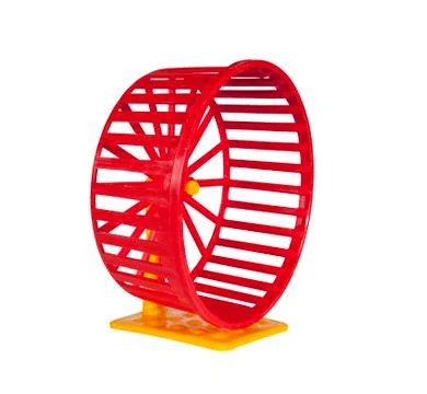 Wheel for rodents Stock Photos