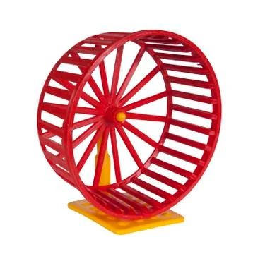 Wheel for rodents Stock Photos