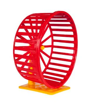 Wheel for rodents Stock Photos