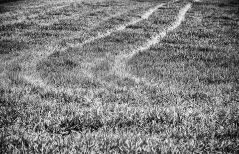 Wheel signs on the grass Stock Photos