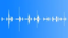 WHEEL, SQUEAKY Sound Effect