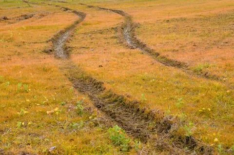 Wheel Track in the Fall Foto stock