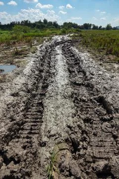 Wheel track on mud Stockfoto's