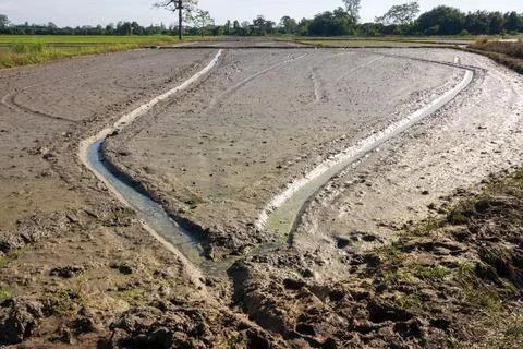 Wheel track on mud Stock Photos