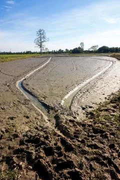 Wheel track on mud Stock-Fotos