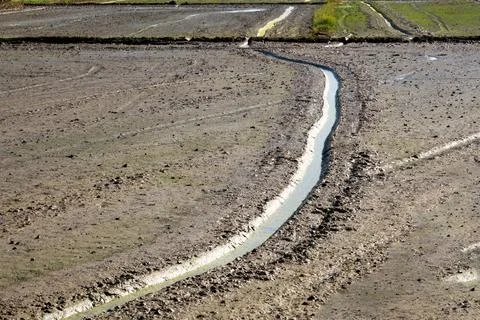 Wheel track on mud Photos