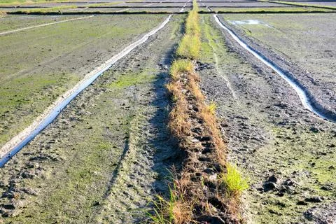 Wheel track on mud Stock Photos