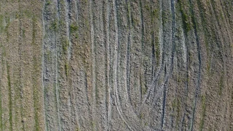 Wheel track of tractor Stock Footage 149198550