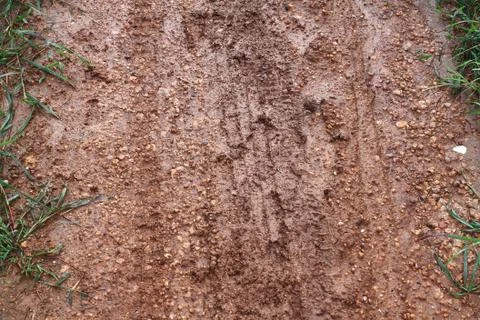 Wheel tracks on dirt 스톡 사진