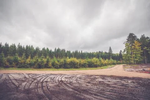 Wheel tracks in a forest Stock Photos