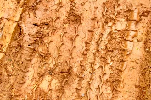 Wheel tracks. Stock Photos