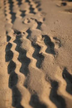Wheel tracks on the sand Stock Photos