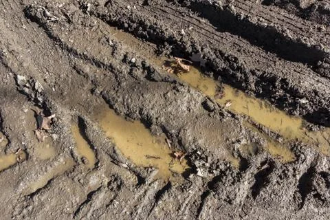 Wheel tracks on the soil Stock Photos