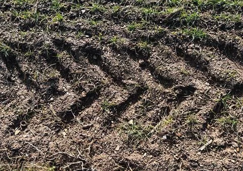 Wheel tracks on the soil Foto stock