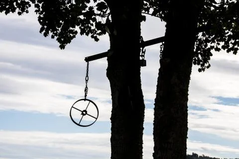 Wheel in a tree 스톡 사진