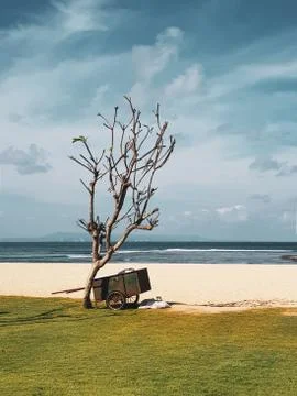 Wheelbarrow on the beach Stock Photos