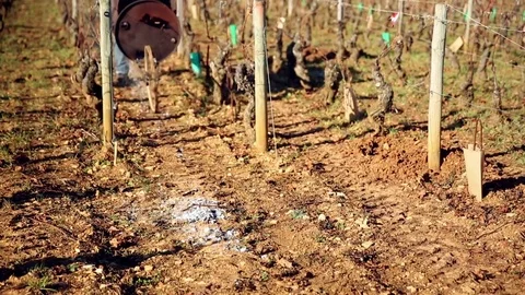 Wheelbarrow to burn the branches of the vines Stock Footage 74467239