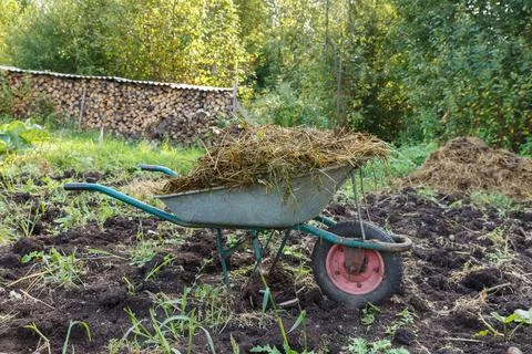 Wheelbarrow with cattle manure Stock Photos