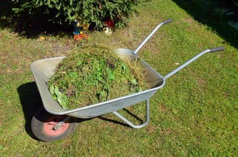 Wheelbarrow with cut grass Stock Photos