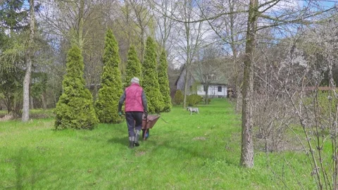 Wheelbarrow Video stock 154429219