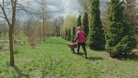 Wheelbarrow Video stock 154429301