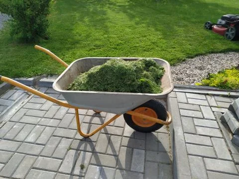 Wheelbarrow full of freshly cut grass that will go into compost Stock Photos