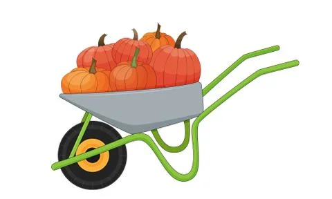 Wheelbarrow full of pumpkins. Stock vector illustration. Stock Illustration