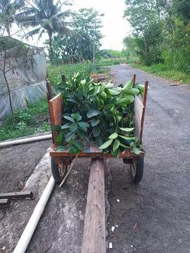 Wheelbarrow in the garden Stock Photos