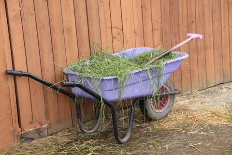 Wheelbarrow with Grass. Fotos Stock