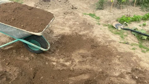 Wheelbarrow with ground on gardering. Loading soil into a construction cart. Video stock 218544906