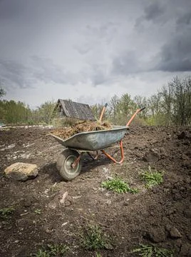 Wheelbarrow with manure on the garden plot Stock Photos