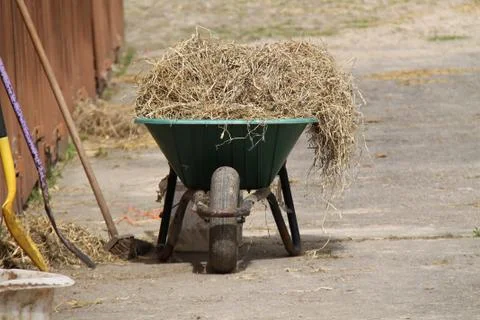 Wheelbarrow. Foto stock