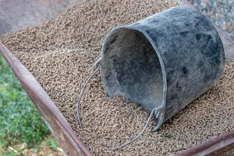 Wheelbarrow with pressed feed chunks and a black bucket . Stock Photos