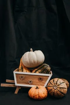 Wheelbarrow with pumpkins on a black background. Stock Photos