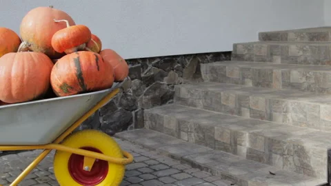 Wheelbarrow pumpkins Stock Footage 97065749