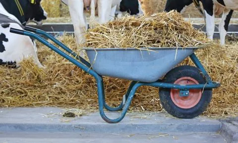 Wheelbarrow With Straw Stock-Fotos