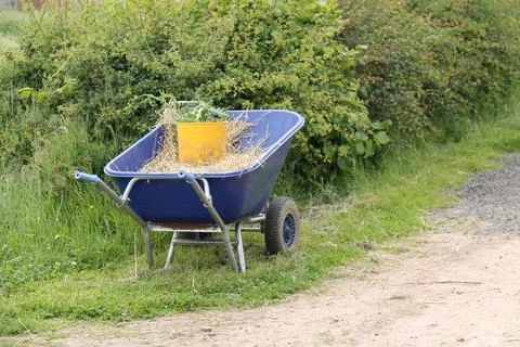 Wheelbarrow with Straw. Stock Photos